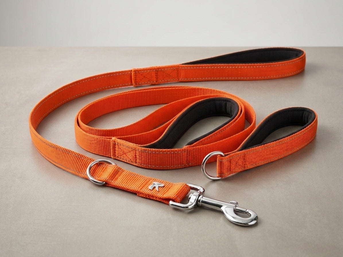 Double Handle Dog Leash – Reflective Nylon Traffic Leash