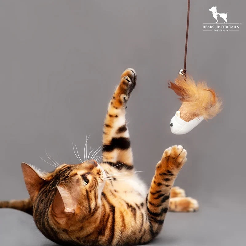 Cat Products