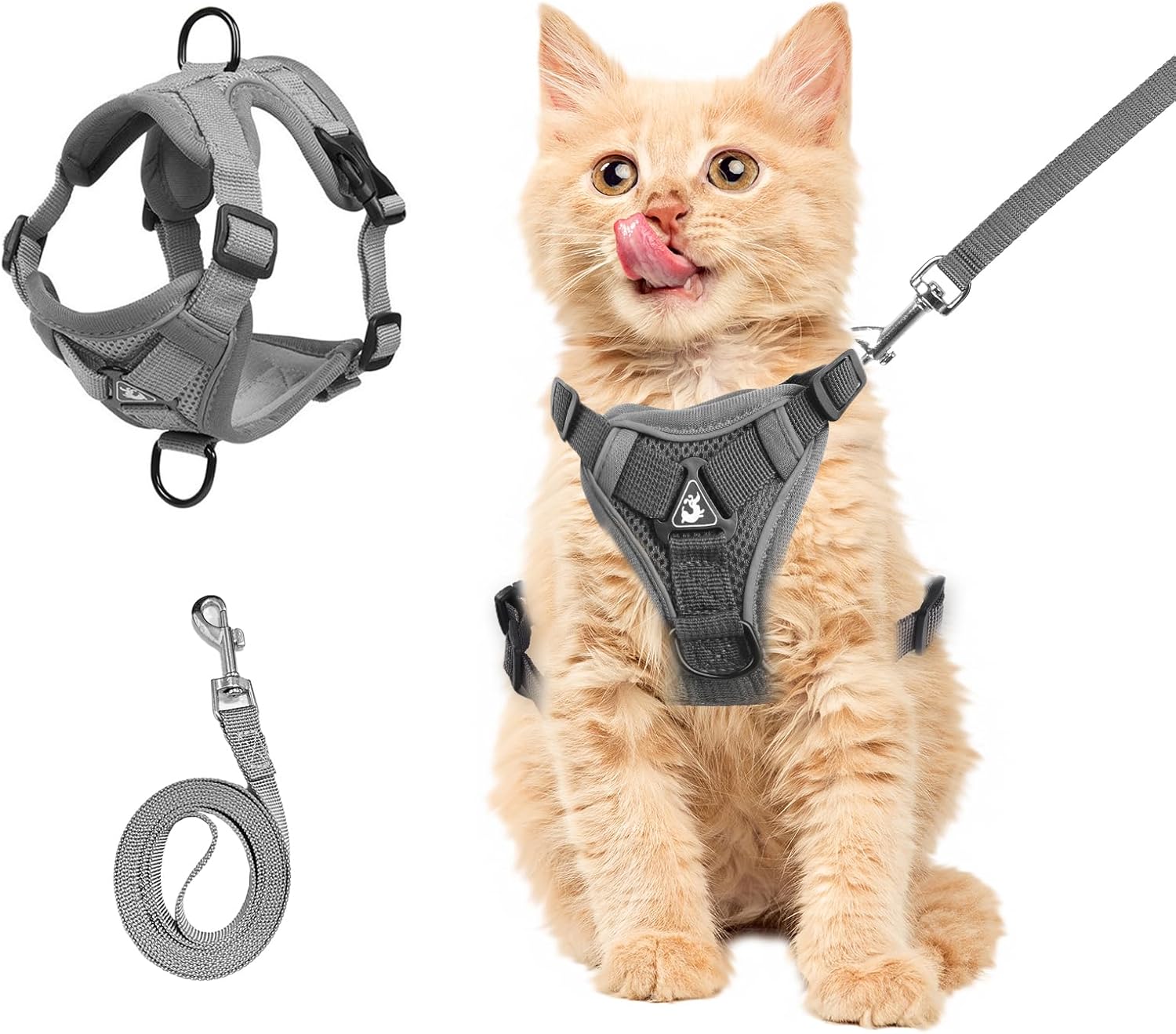 Cat Harness and Leash