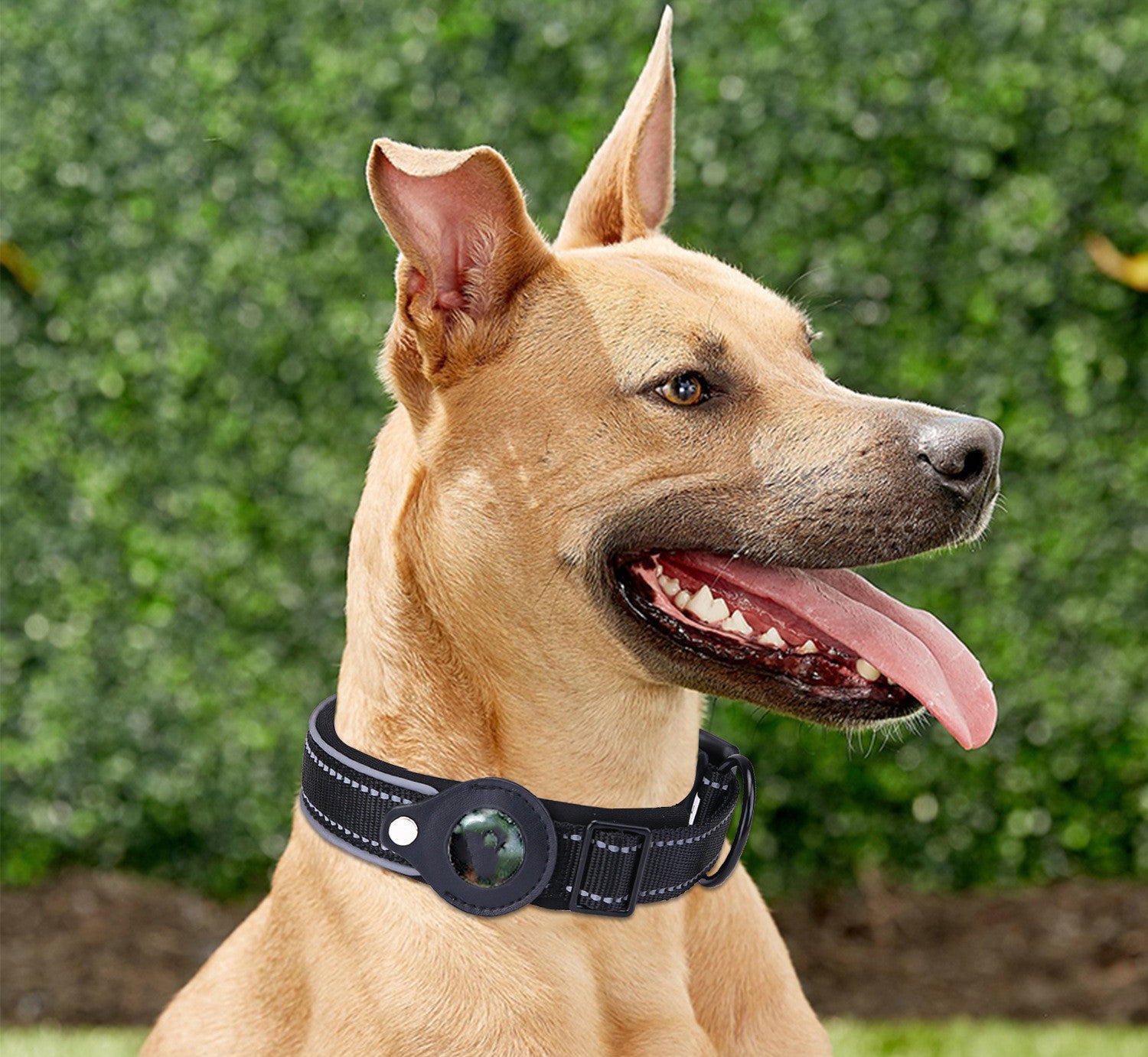 Adjustable Dog Collar – Polyester Walking Collar for Dogs, Cyan Black Pink Orange, Sizes S-XL