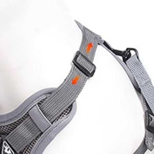 Cat Harness and Leash