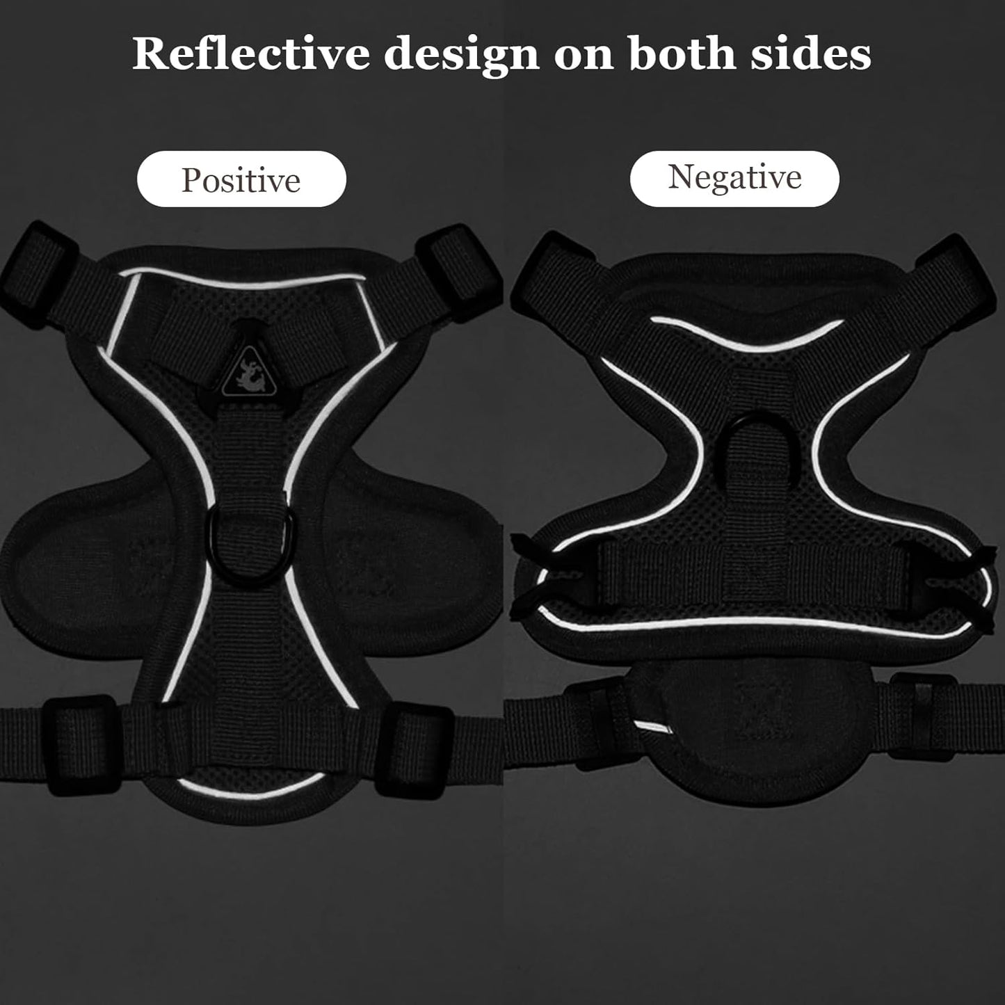 Cat Harness and Leash
