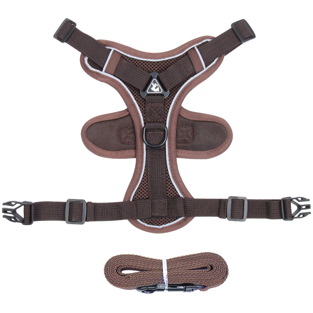 Cat Harness and Leash
