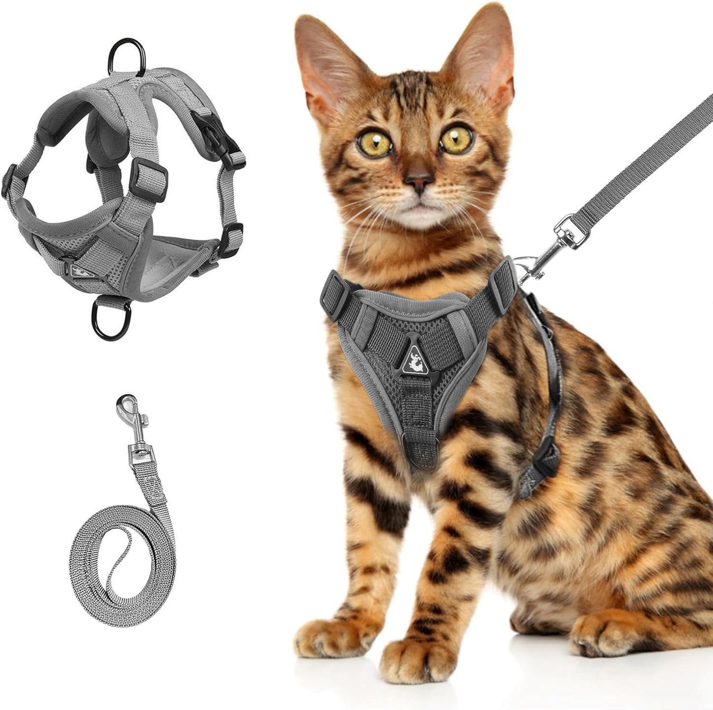 Cat Harness and Leash