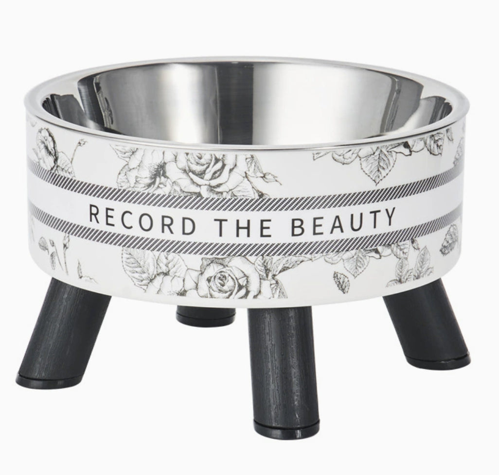 Elevated Cat Bowl – Stainless Steel Raised Water & Food Bowl