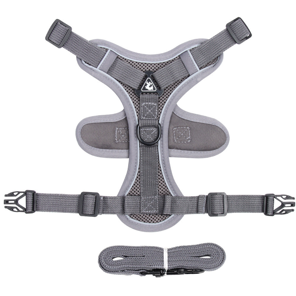 Cat Harness and Leash - Gray