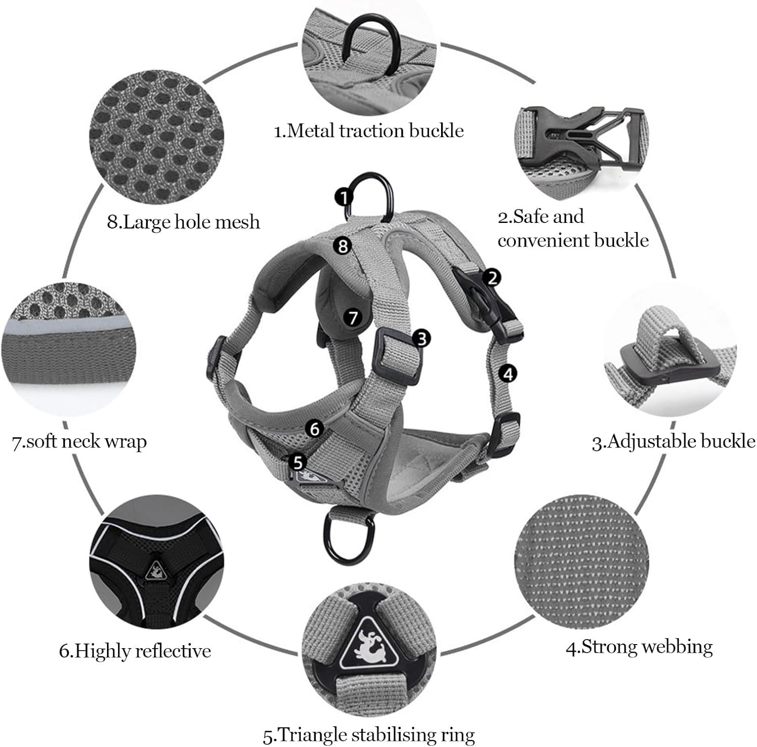 Cat Harness and Leash