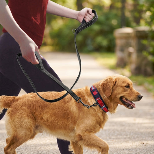 Laisse pour chien à double poignée – Laisse de trafic réfléchissante en nylon
