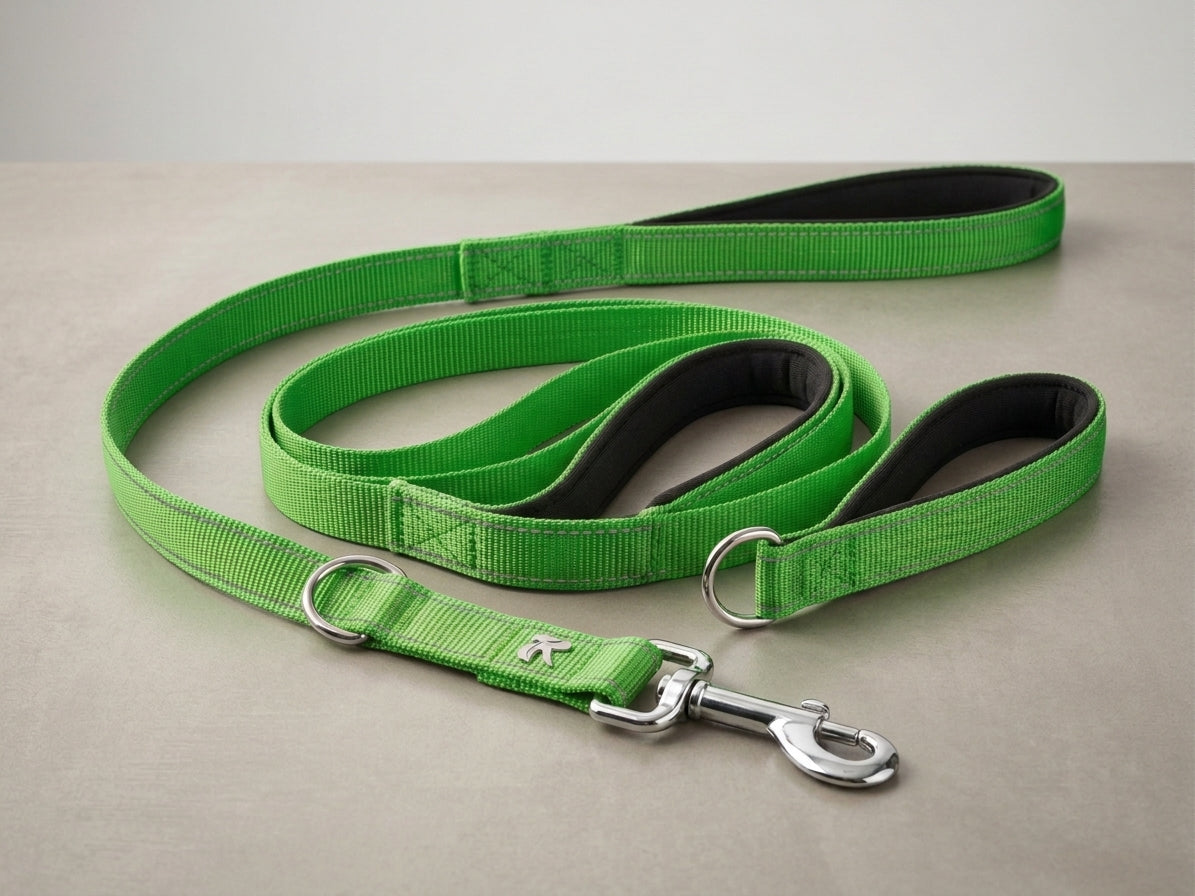 Double Handle Dog Leash – Reflective Nylon Traffic Leash
