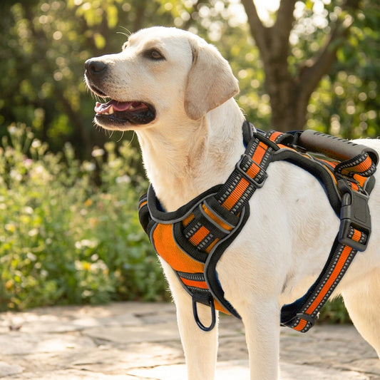 Harnais pour chien anti-traction – Gilet réfléchissant respirant avec sangle de poitrine réglable