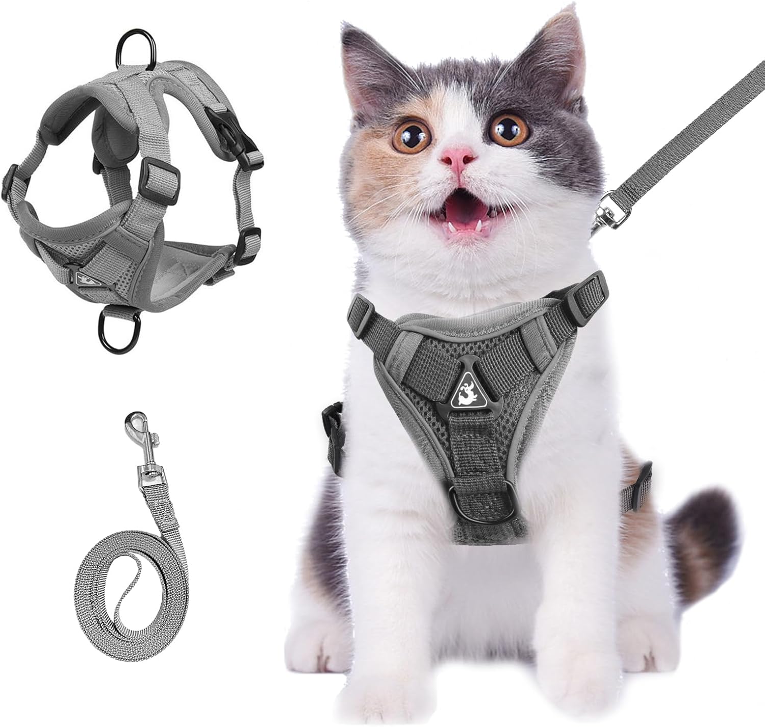Cat Harness and Leash