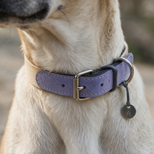 Baseball Dog Collar - close-up of collar shape and buckle detail